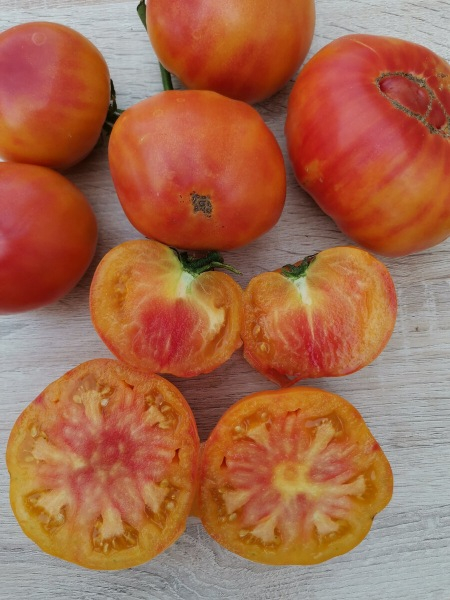 Топ- 5 томатов для начинающих огородников.